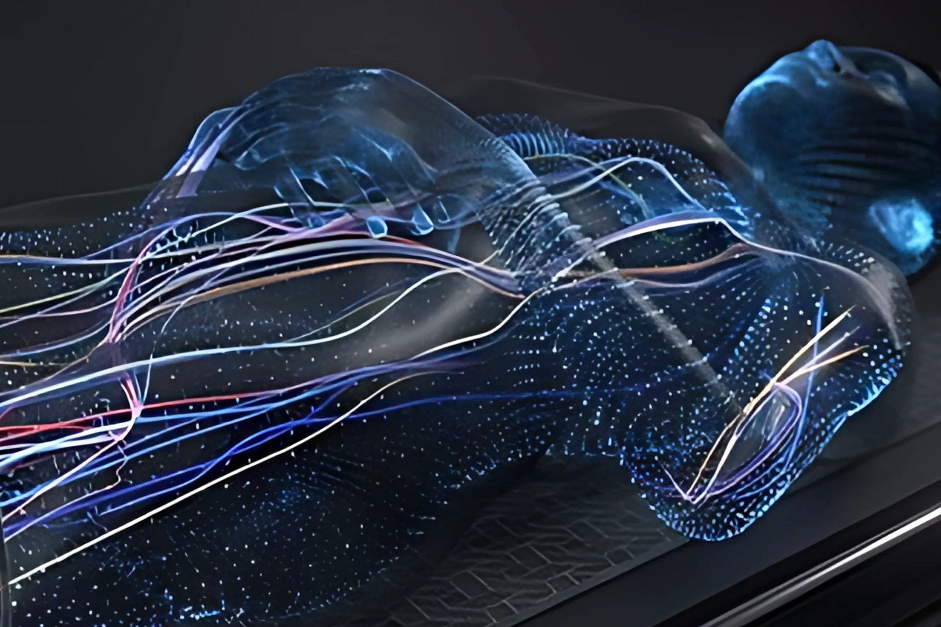 Flow Tech — circulation and mobility visualization
