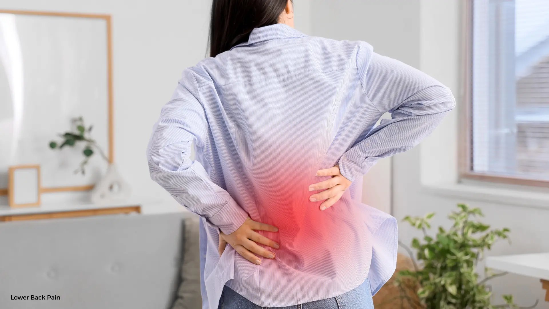 Lower Back Pain